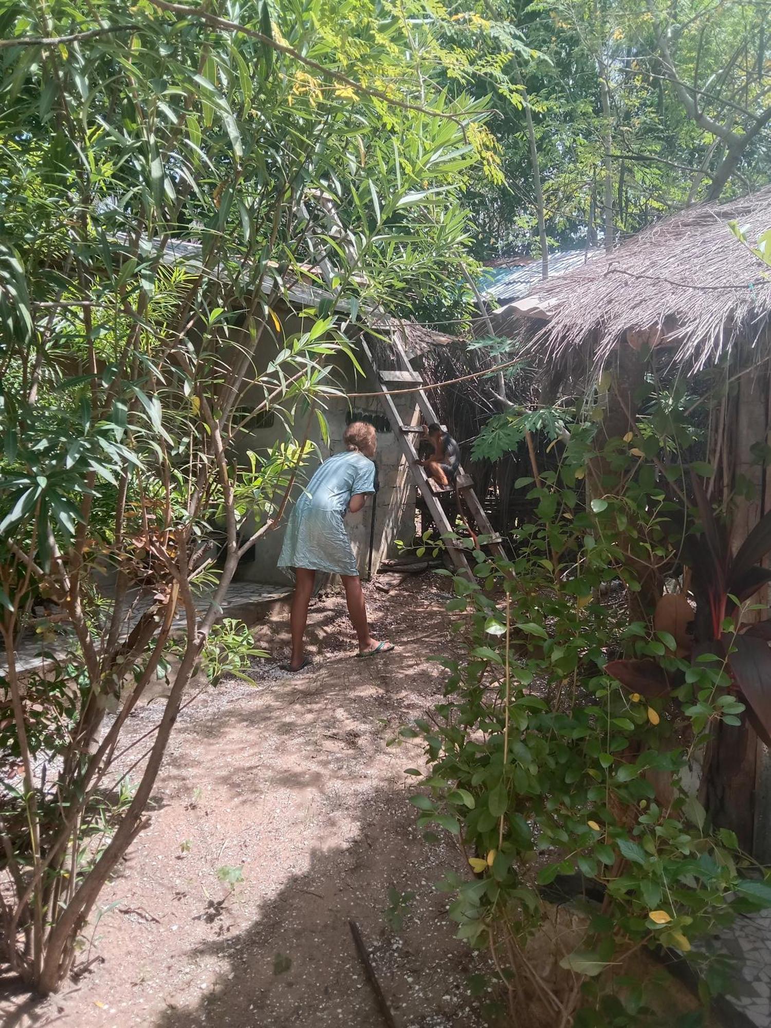 Chez Bethy & Baboulaye Jungle Et Ocean Villa Abeme Exterior photo