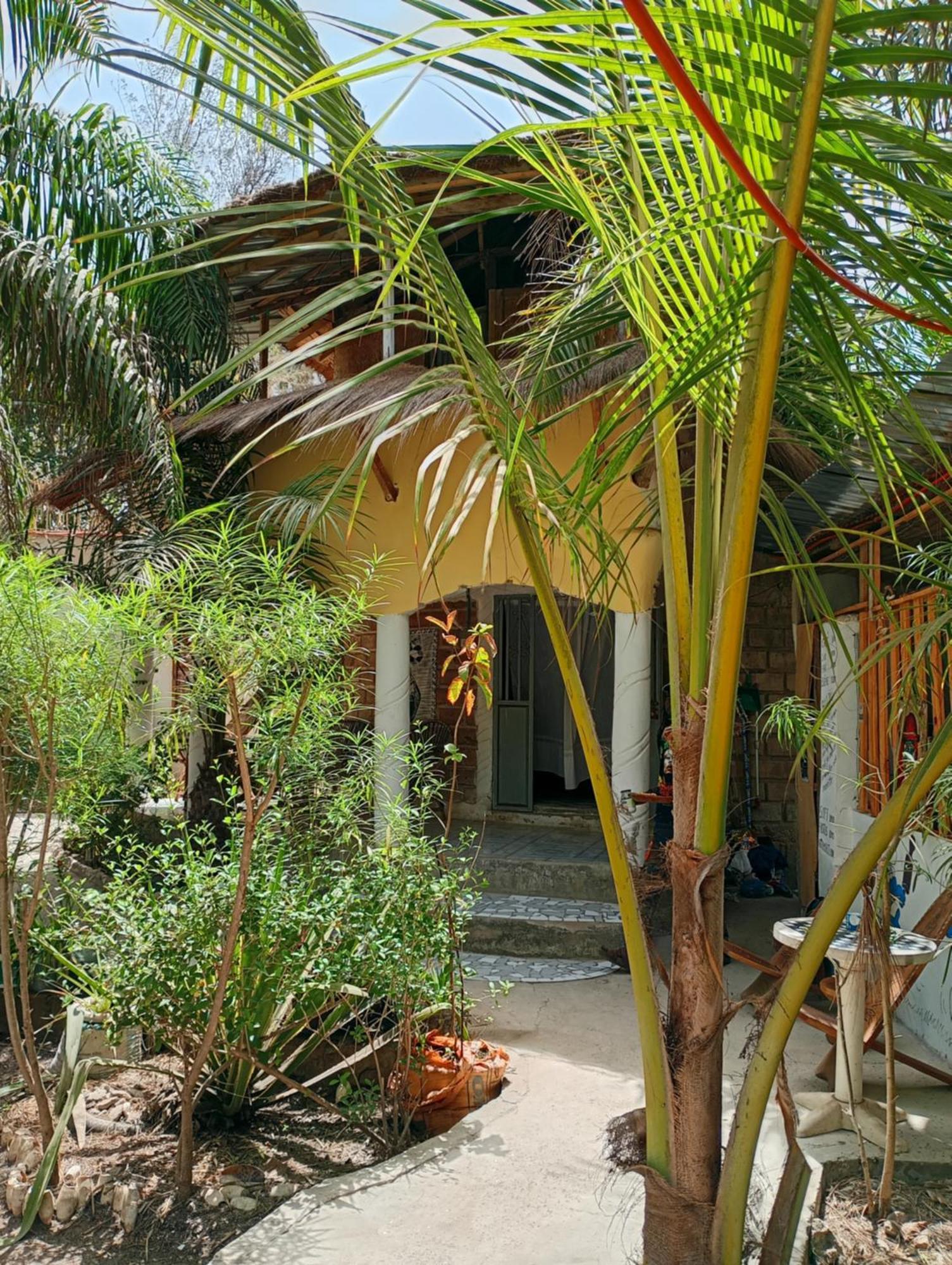Chez Bethy & Baboulaye Jungle Et Ocean Villa Abeme Exterior photo